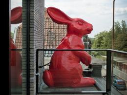 Red rabbit terras